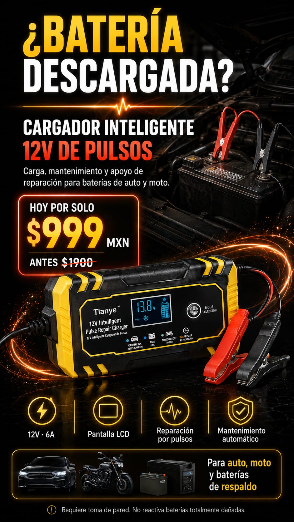 Cargador de Baterías 12V Tianye hero